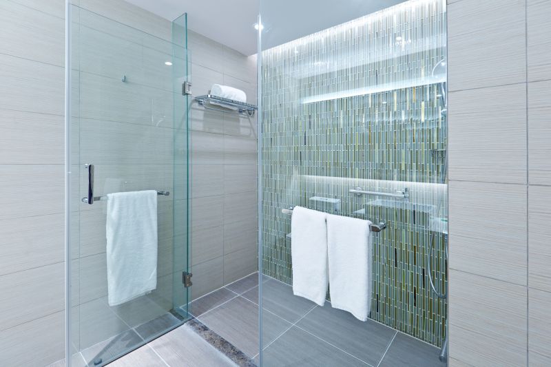 Shower Door Installation in Denver County, CO